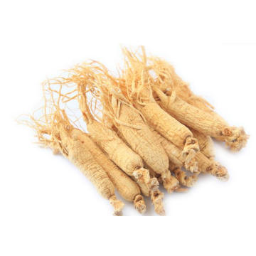 Pó de oligopeptídeo de ginseng para anti-envelhecimento